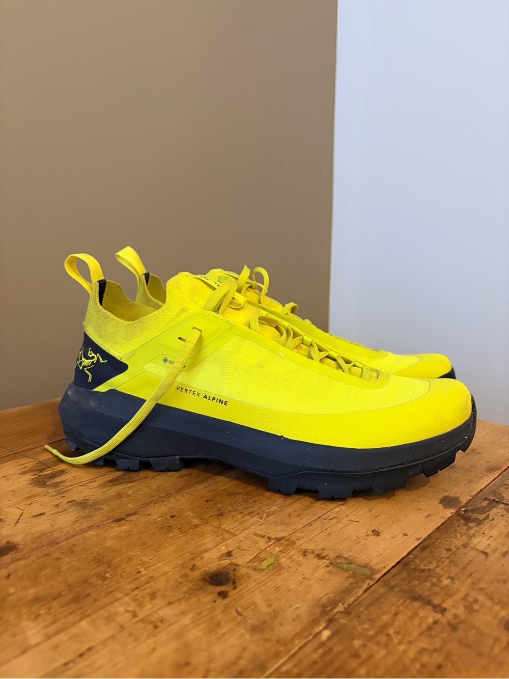 Arc'teryx Men’s Vertex Alpine GTX Shoes *Worn Once*